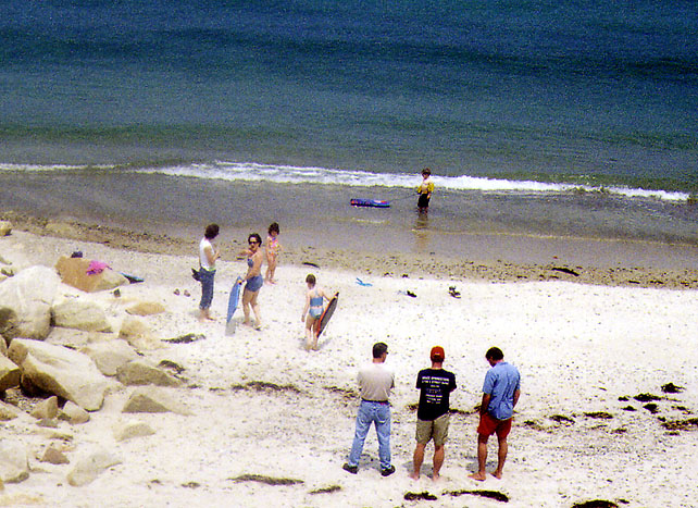 The Beach in July