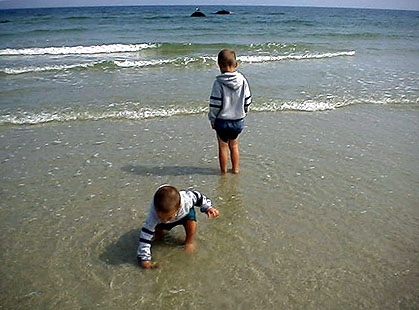 Wading at the Shore