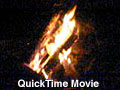 Campfire Movie Clip (QuickTime)